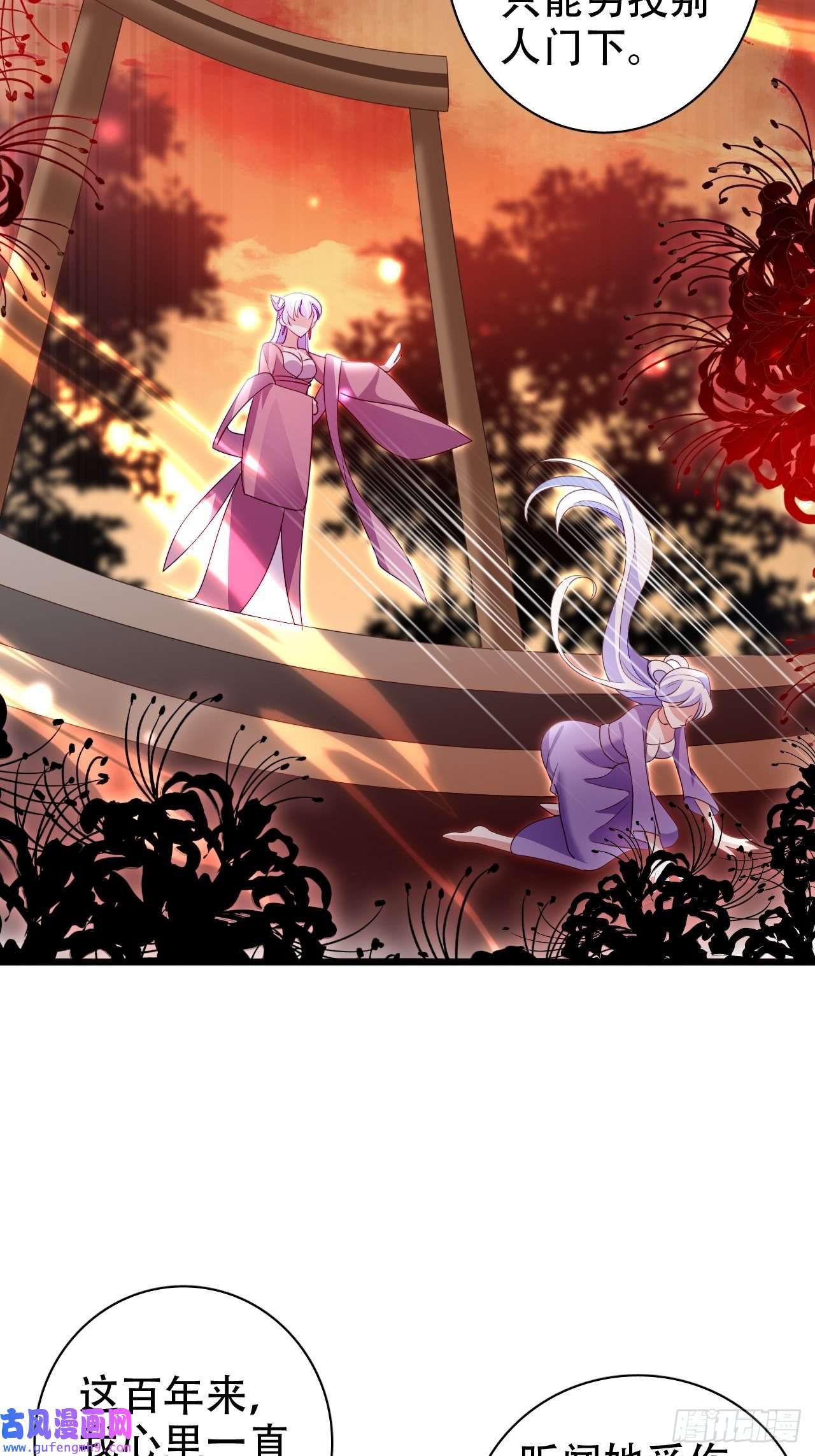 海王奶奶三千宠鸾凤宗的百合花都开好了