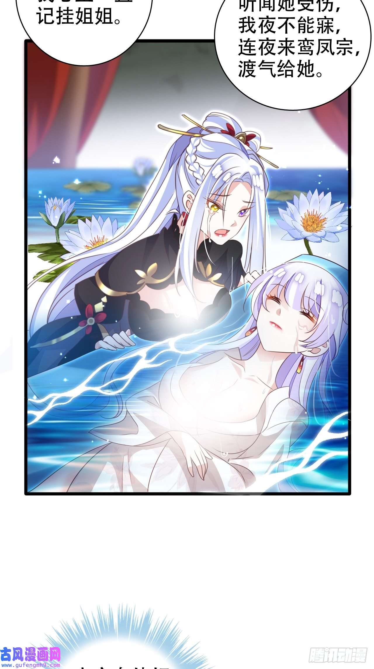 海王奶奶三千宠鸾凤宗的百合花都开好了