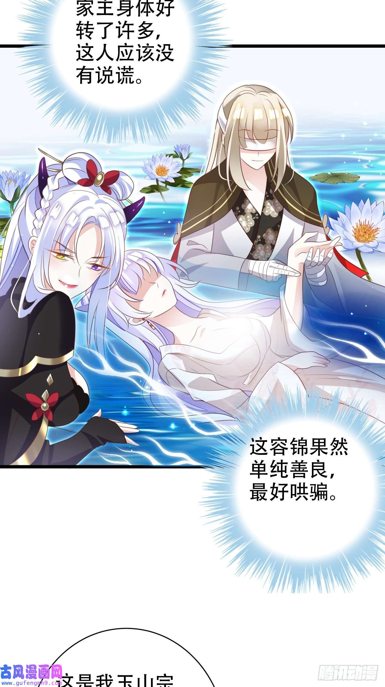 海王奶奶三千宠鸾凤宗的百合花都开好了