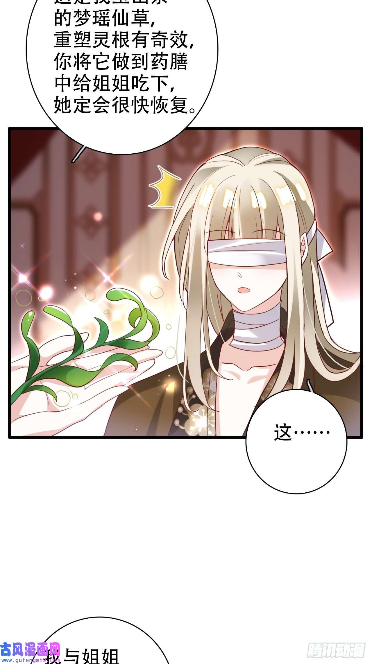 海王奶奶三千宠鸾凤宗的百合花都开好了