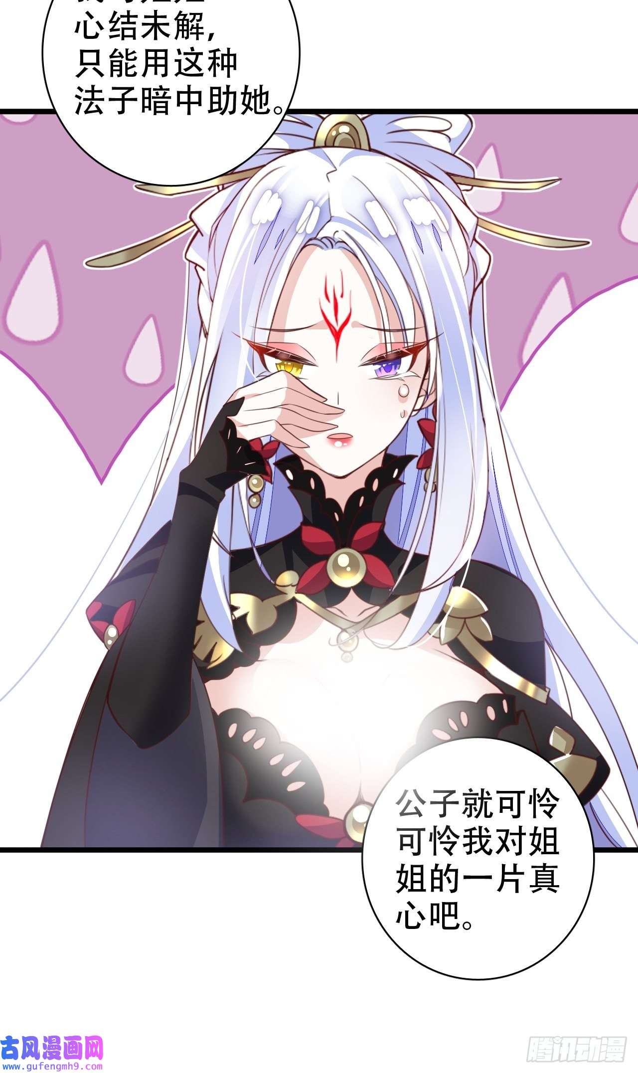 海王奶奶三千宠鸾凤宗的百合花都开好了