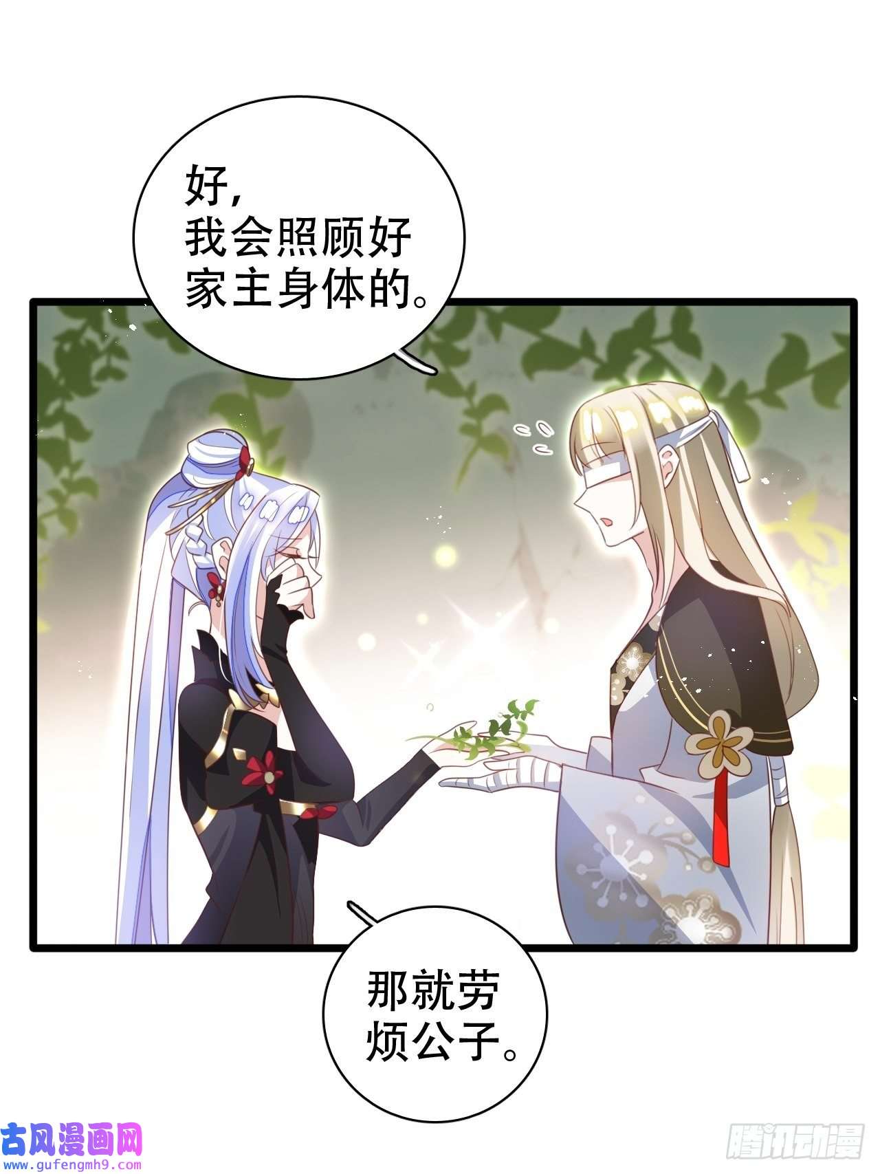 海王奶奶三千宠鸾凤宗的百合花都开好了