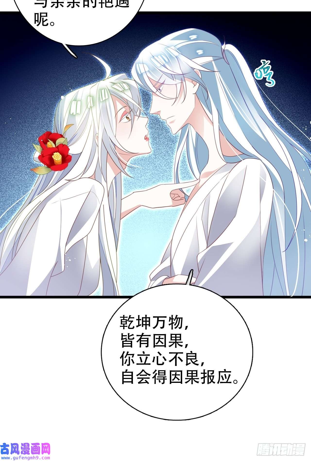 海王奶奶三千宠鸾凤宗的百合花都开好了