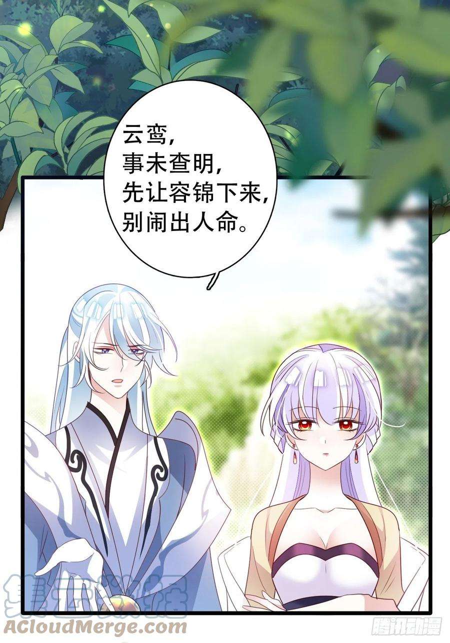 海王奶奶三千宠坦白局