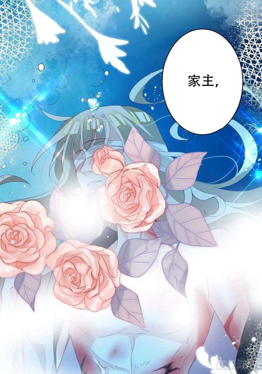 海王奶奶三千宠云容花开·壹