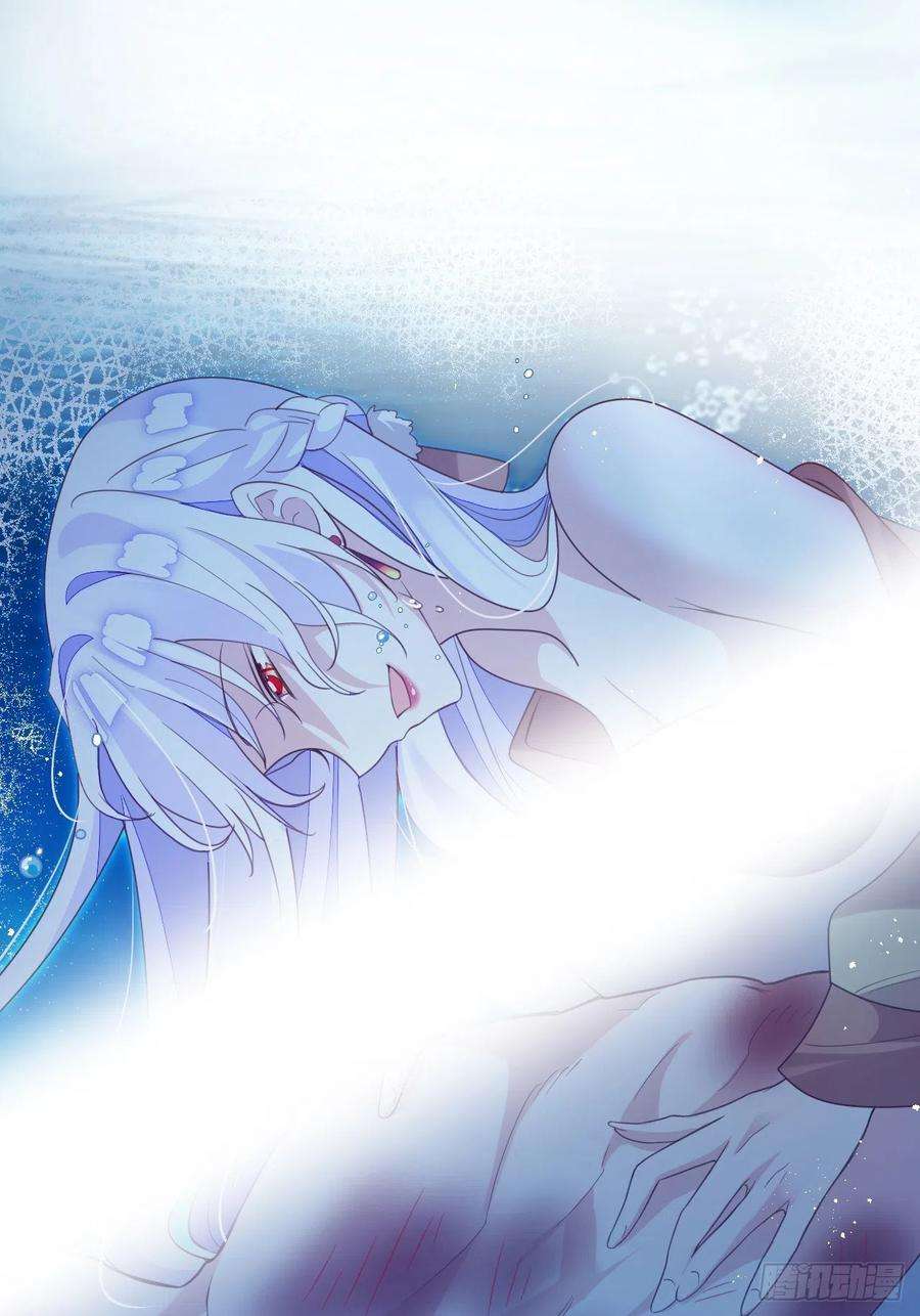 海王奶奶三千宠云容花开·壹