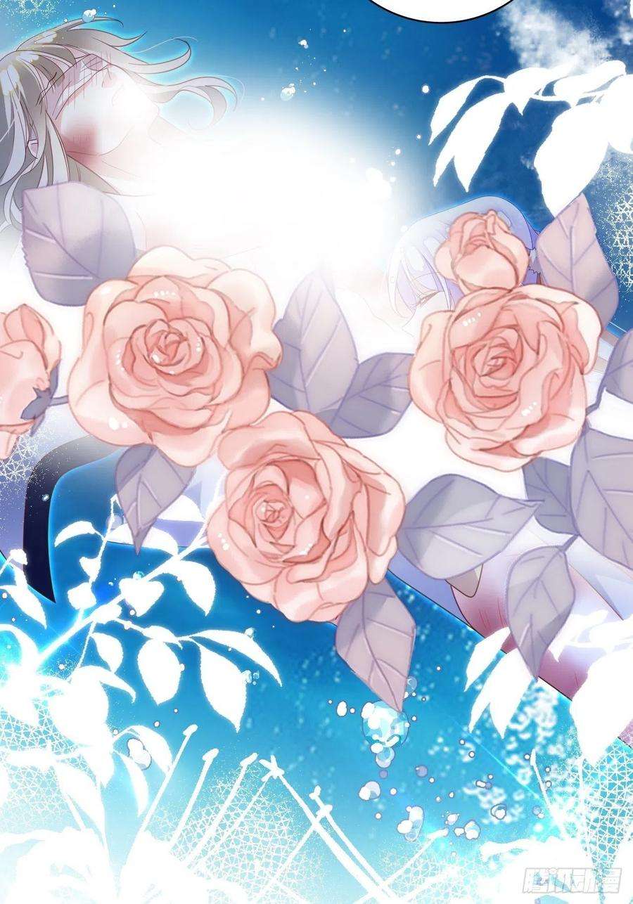海王奶奶三千宠云容花开·壹
