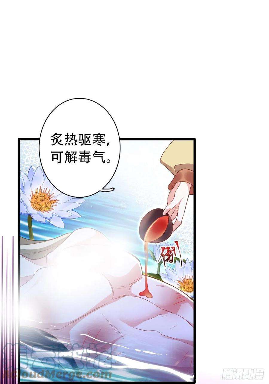 海王奶奶三千宠云容花开·壹