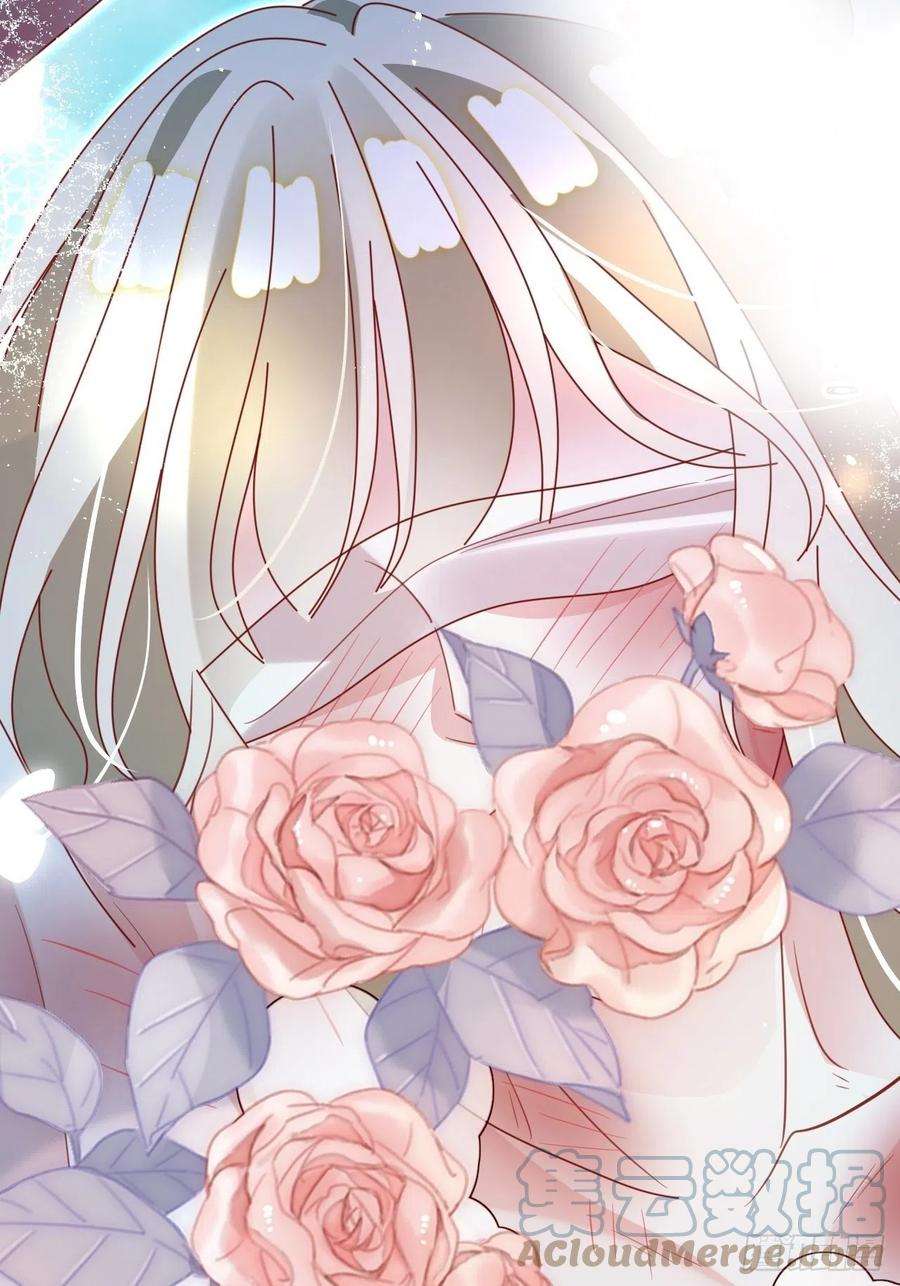 海王奶奶三千宠云容花开·壹