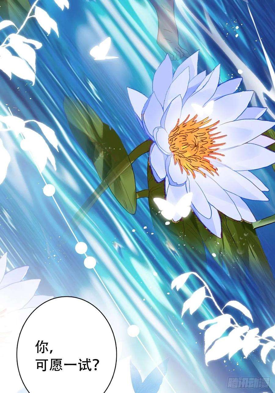 海王奶奶三千宠云容花开·壹
