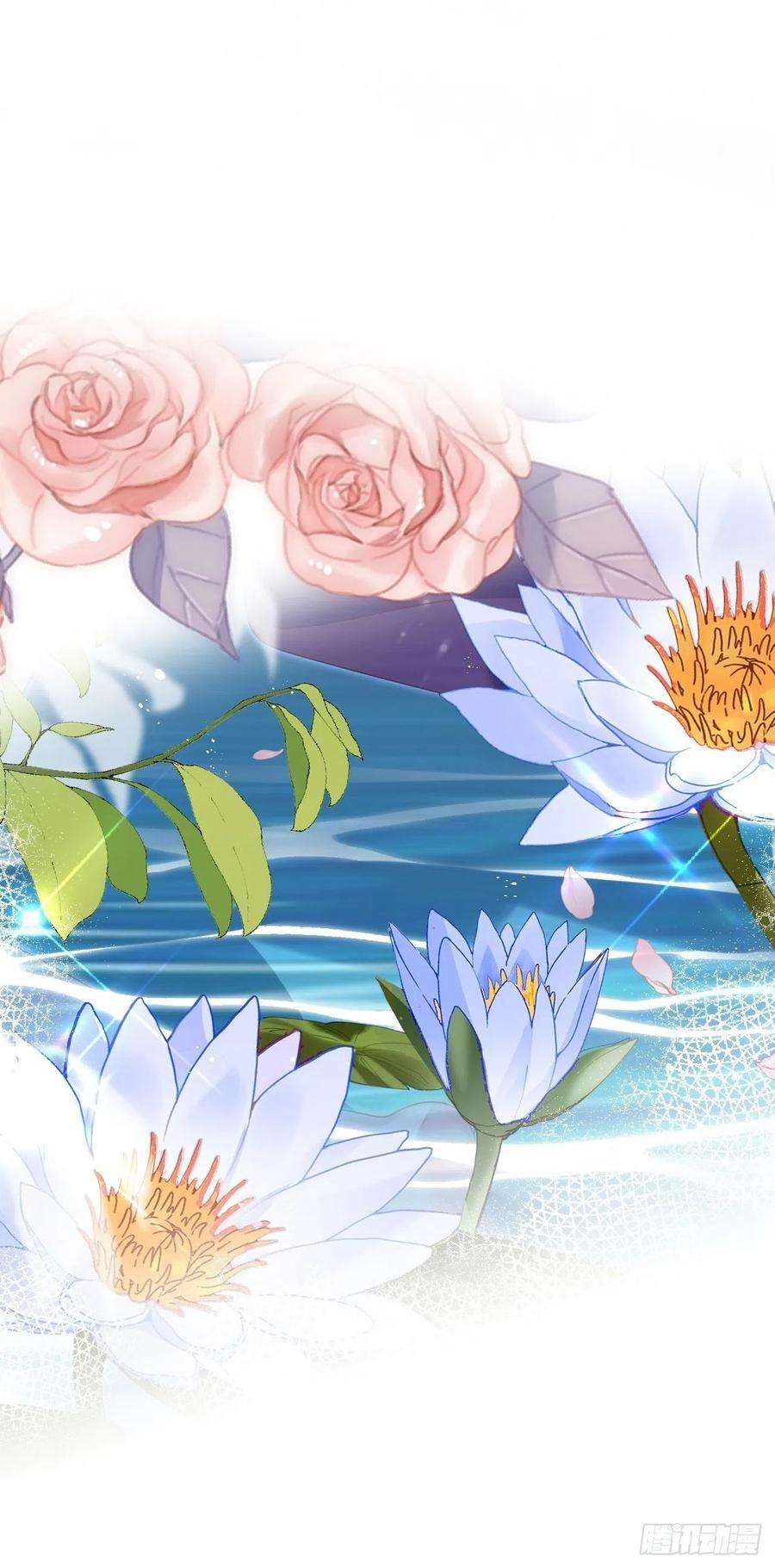 海王奶奶三千宠云容花开·壹