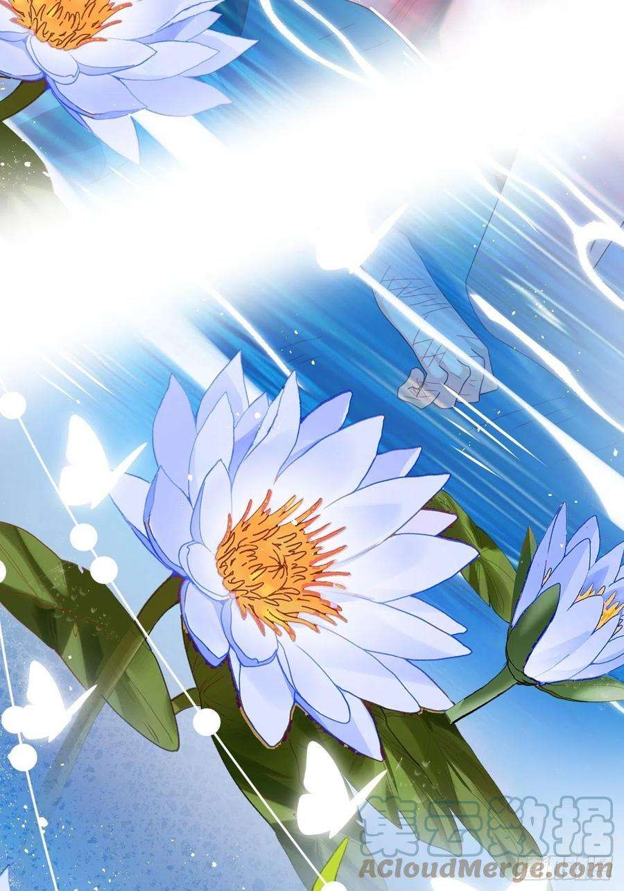 海王奶奶三千宠云容花开·壹