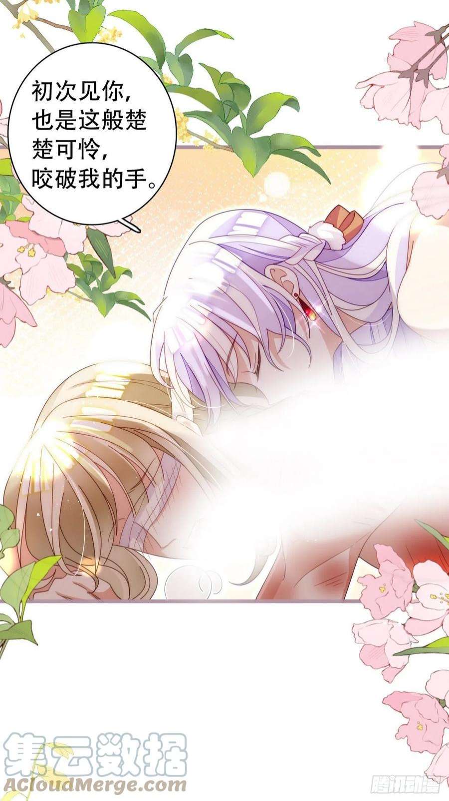 海王奶奶三千宠云容花开·贰
