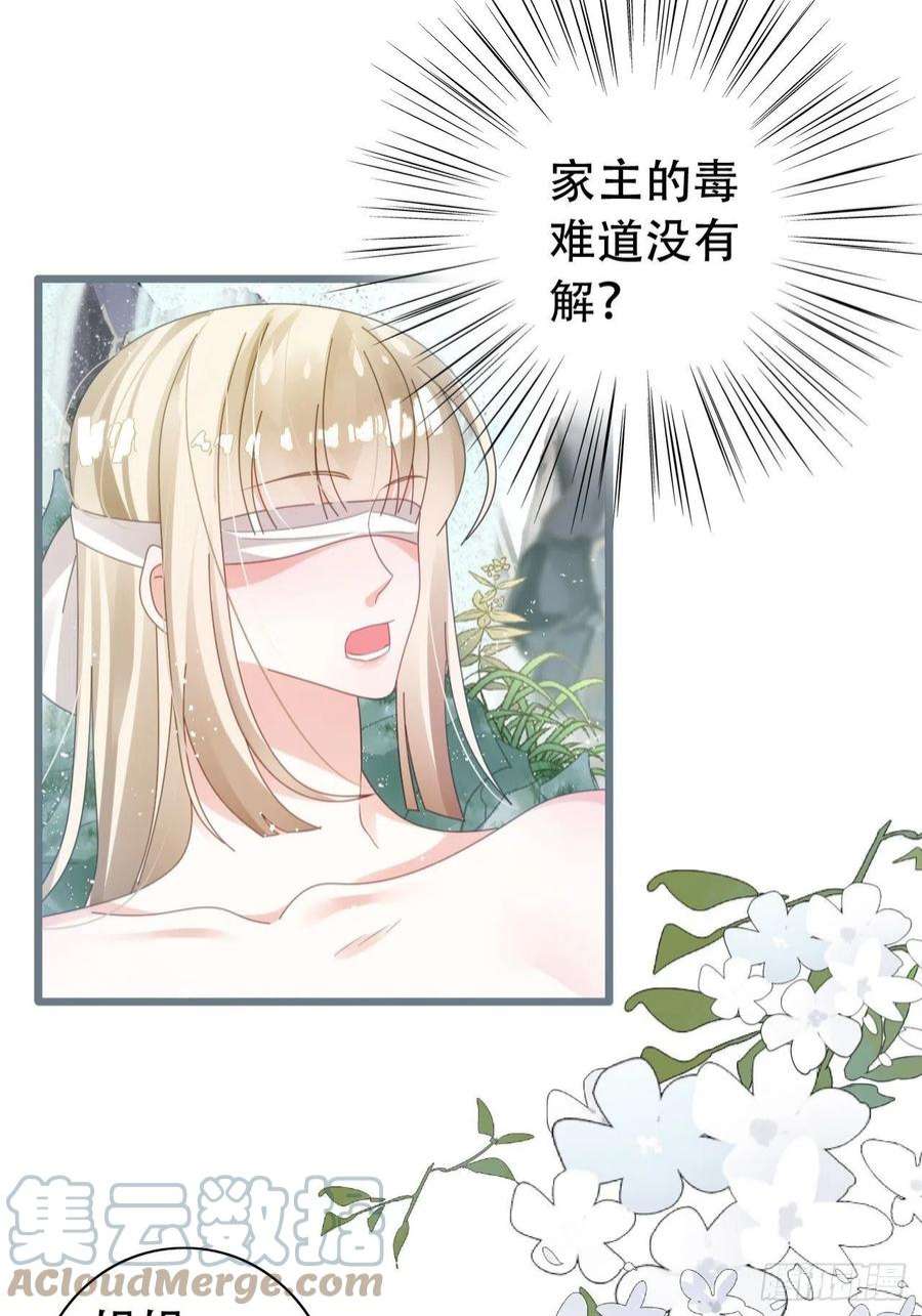 海王奶奶三千宠云容花开·贰 2