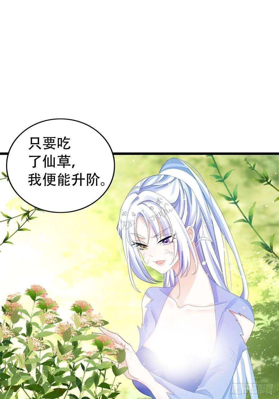 海王奶奶三千宠三修局4选2！禁止小盆友偷听！