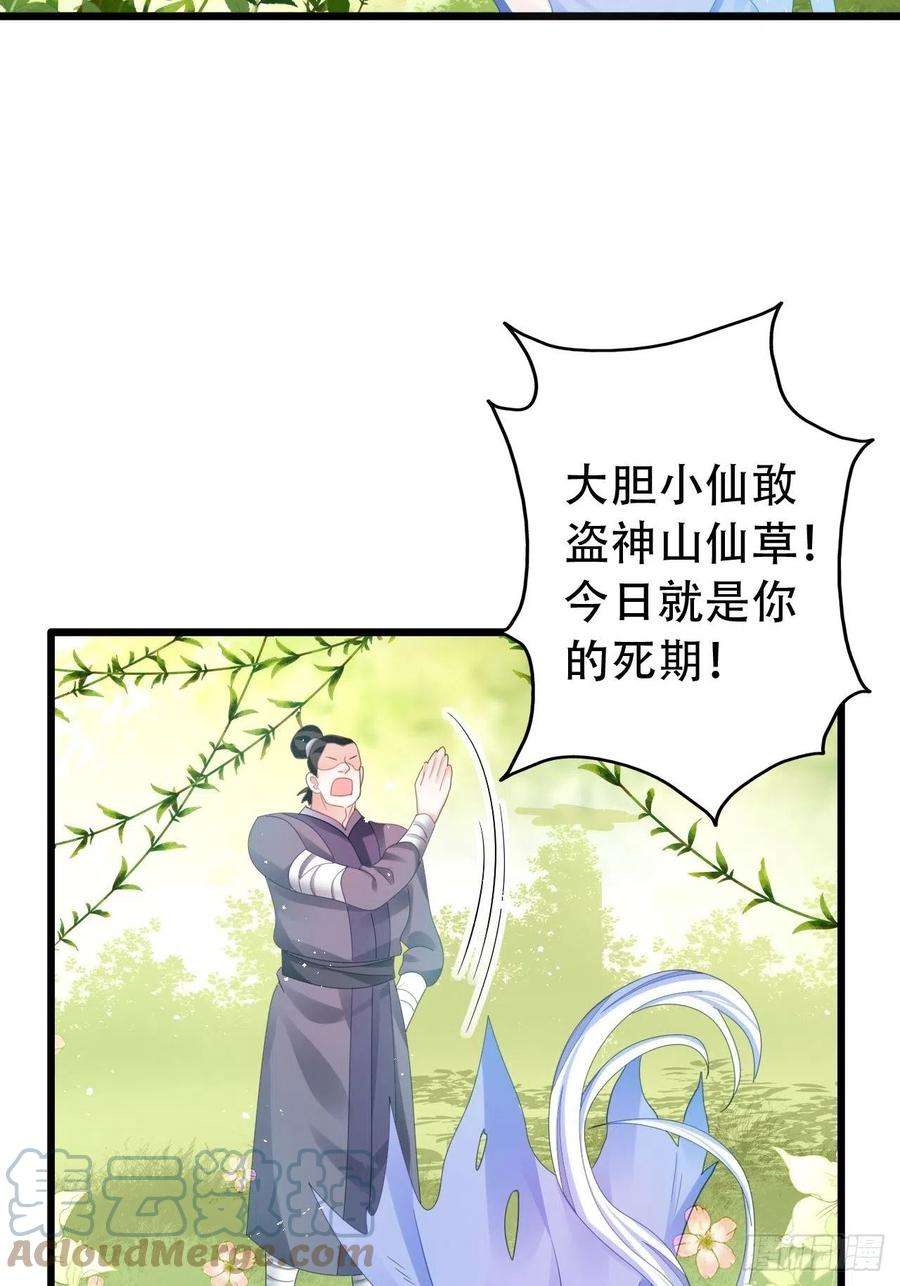 海王奶奶三千宠三修局4选2！禁止小盆友偷听！