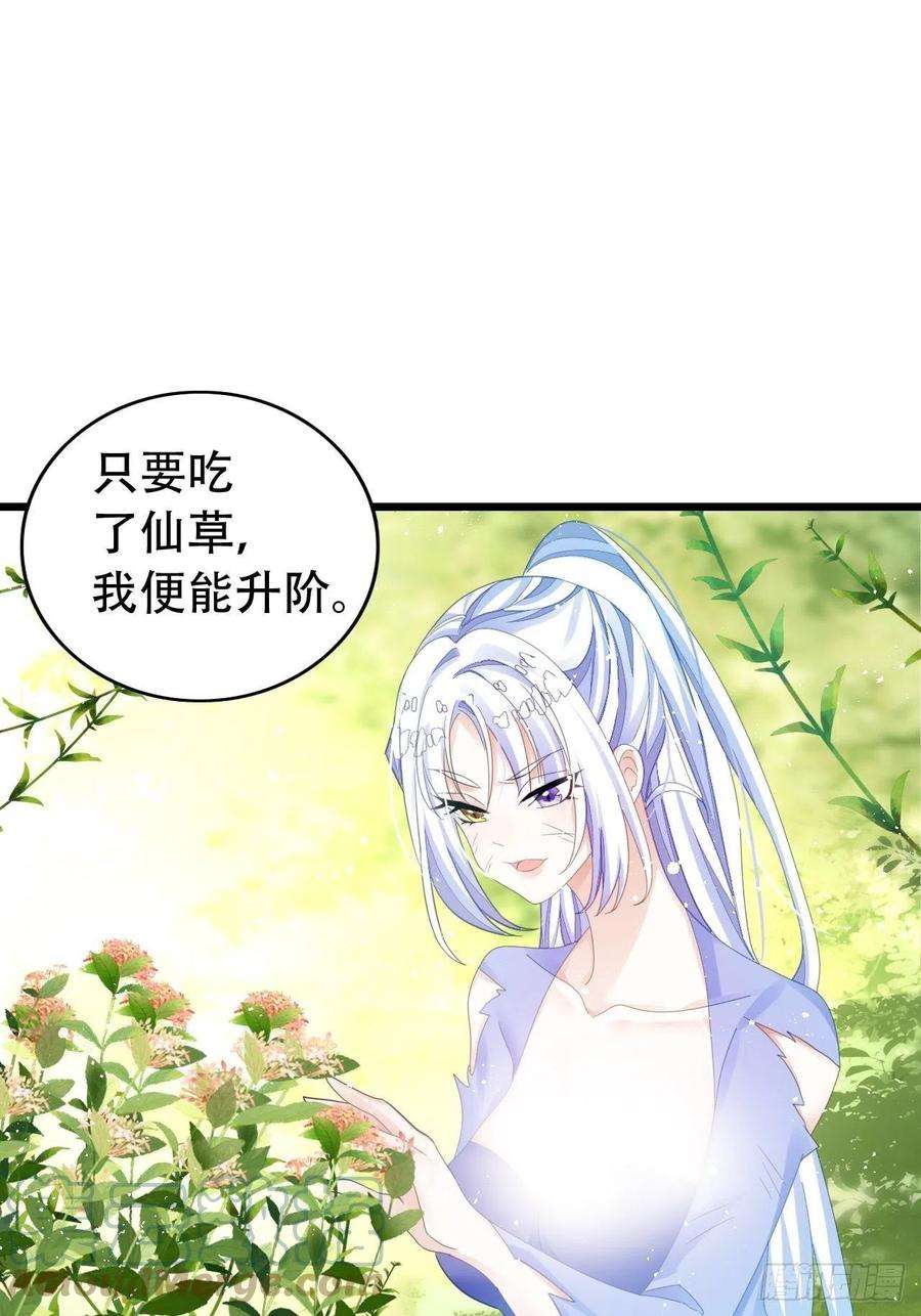 海王奶奶三千宠新boss出场？！略眼熟