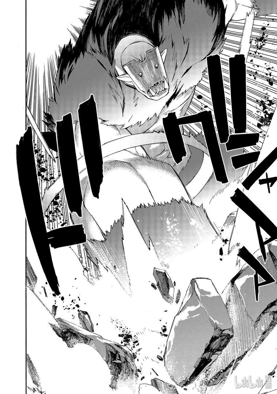 黑之召唤士30 精灵之乡Ⅱ