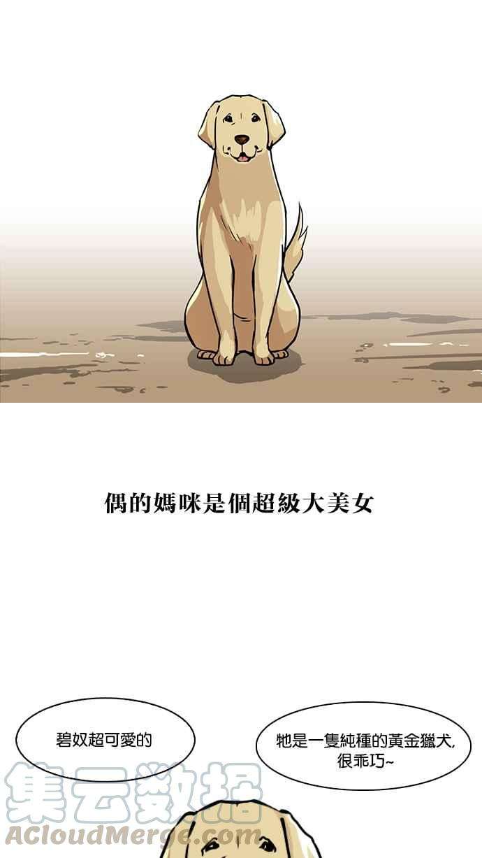 看脸时代第58话 流浪犬 - 伊奴（1）