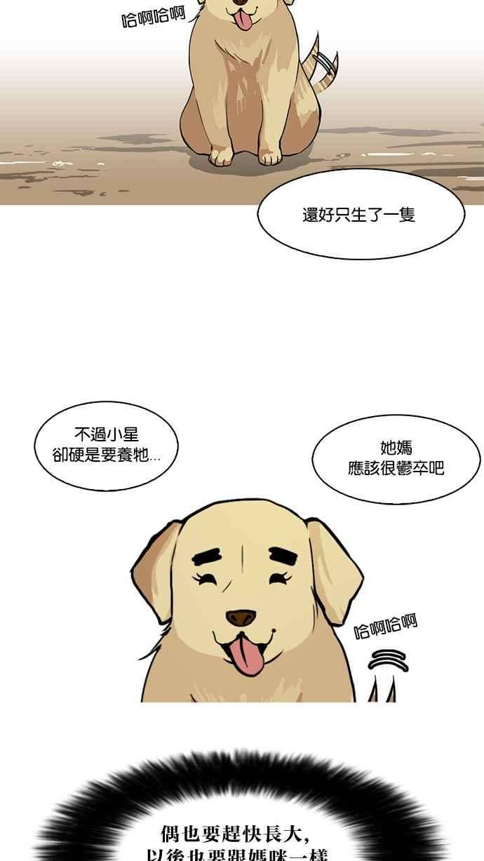 看脸时代第58话 流浪犬 - 伊奴（1）