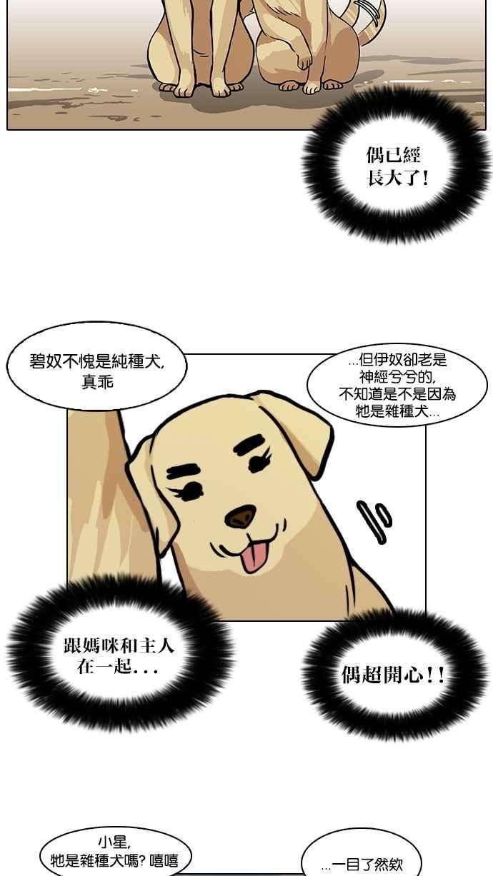 看脸时代第58话 流浪犬 - 伊奴（1）