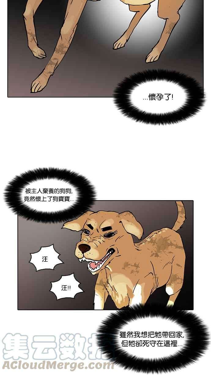 看脸时代第59话 流浪犬 - 伊奴（2）