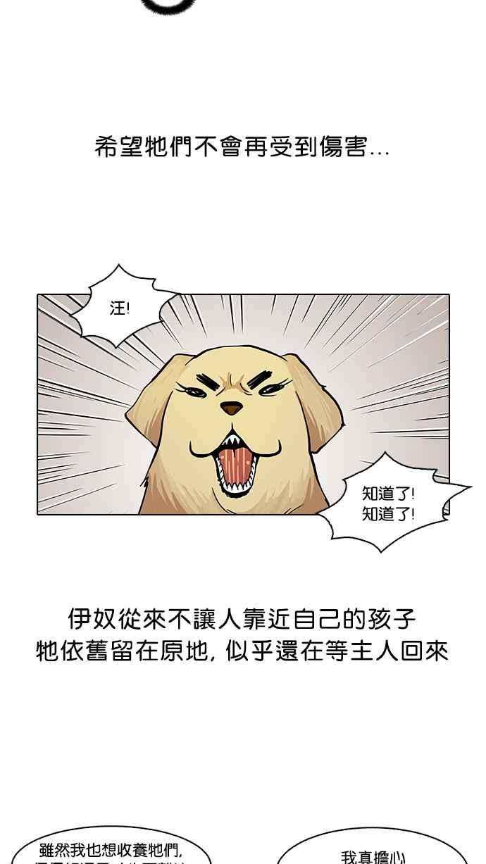 看脸时代第62话 流浪犬 - 伊奴（结尾）