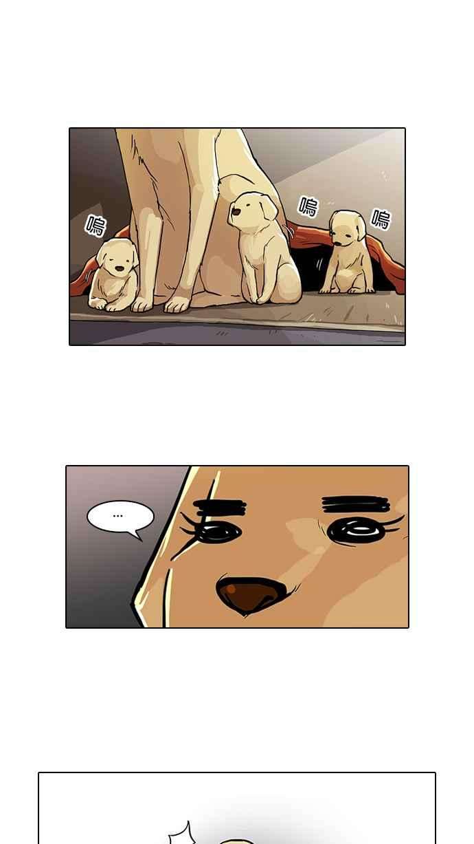 看脸时代第62话 流浪犬 - 伊奴（结尾）