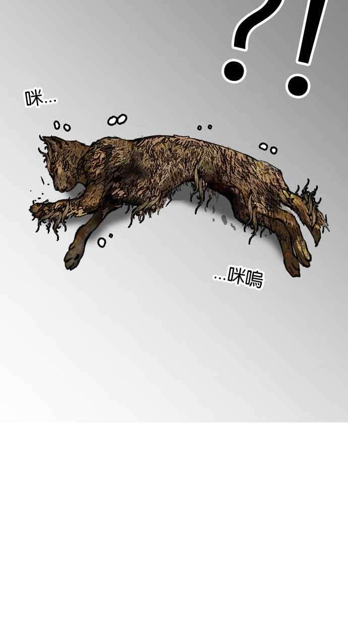 看脸时代第149话 虐待动物 14