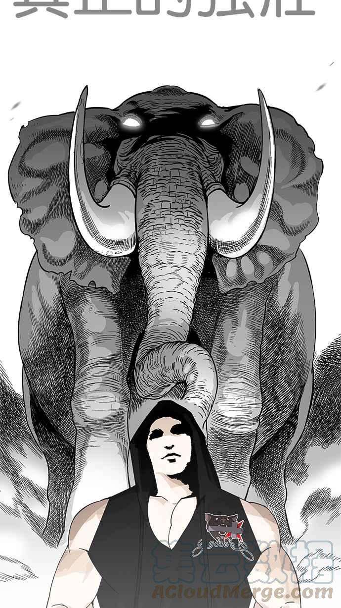 看脸时代第203话 帝犬联盟 05