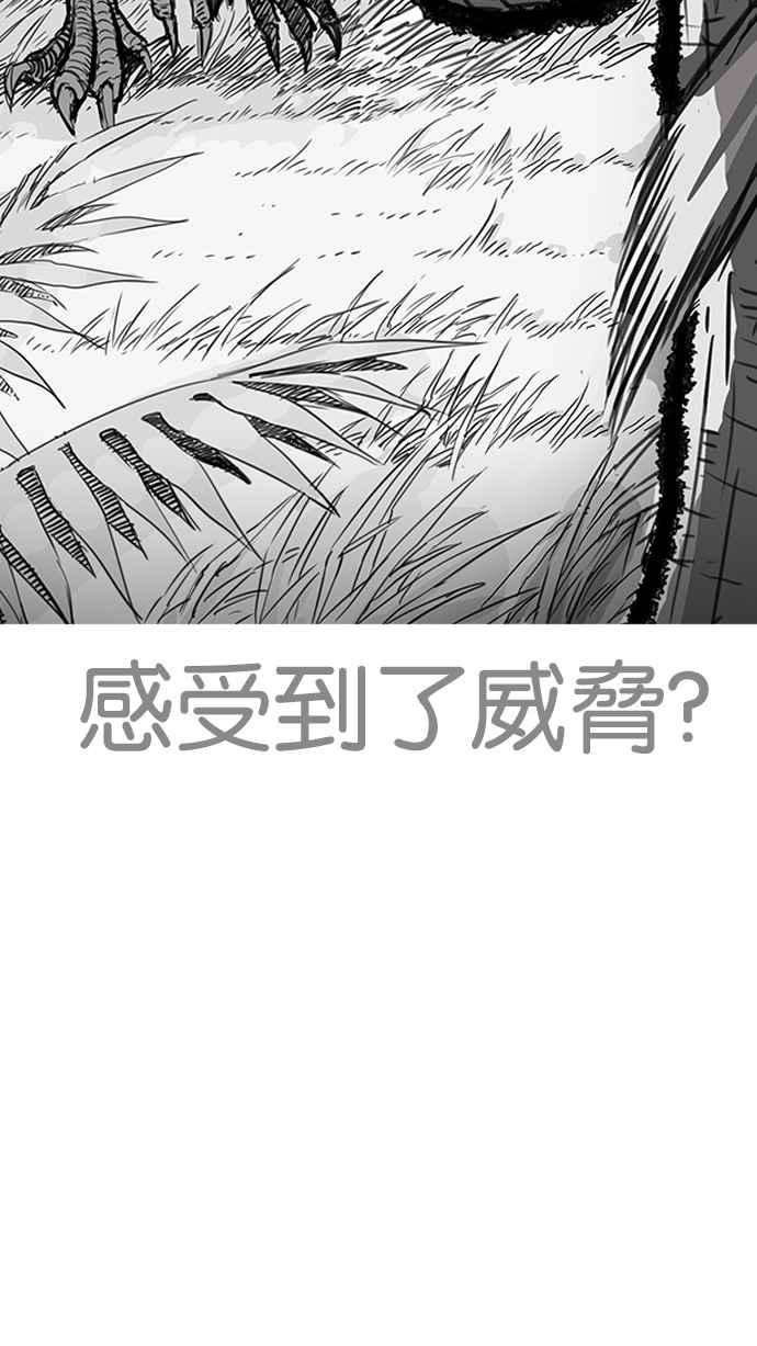 看脸时代第203话 帝犬联盟 05