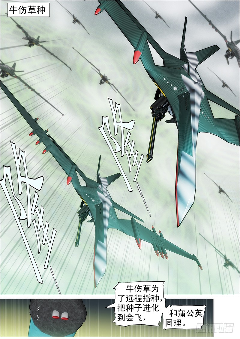 铁姬钢兵开局就送蟒式刀