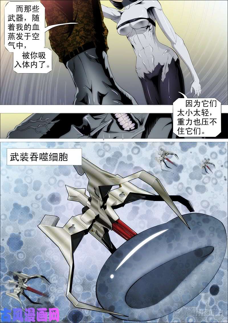 铁姬钢兵半身成怪