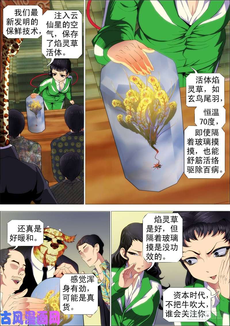 铁姬钢兵掉毛金乌不如鸡