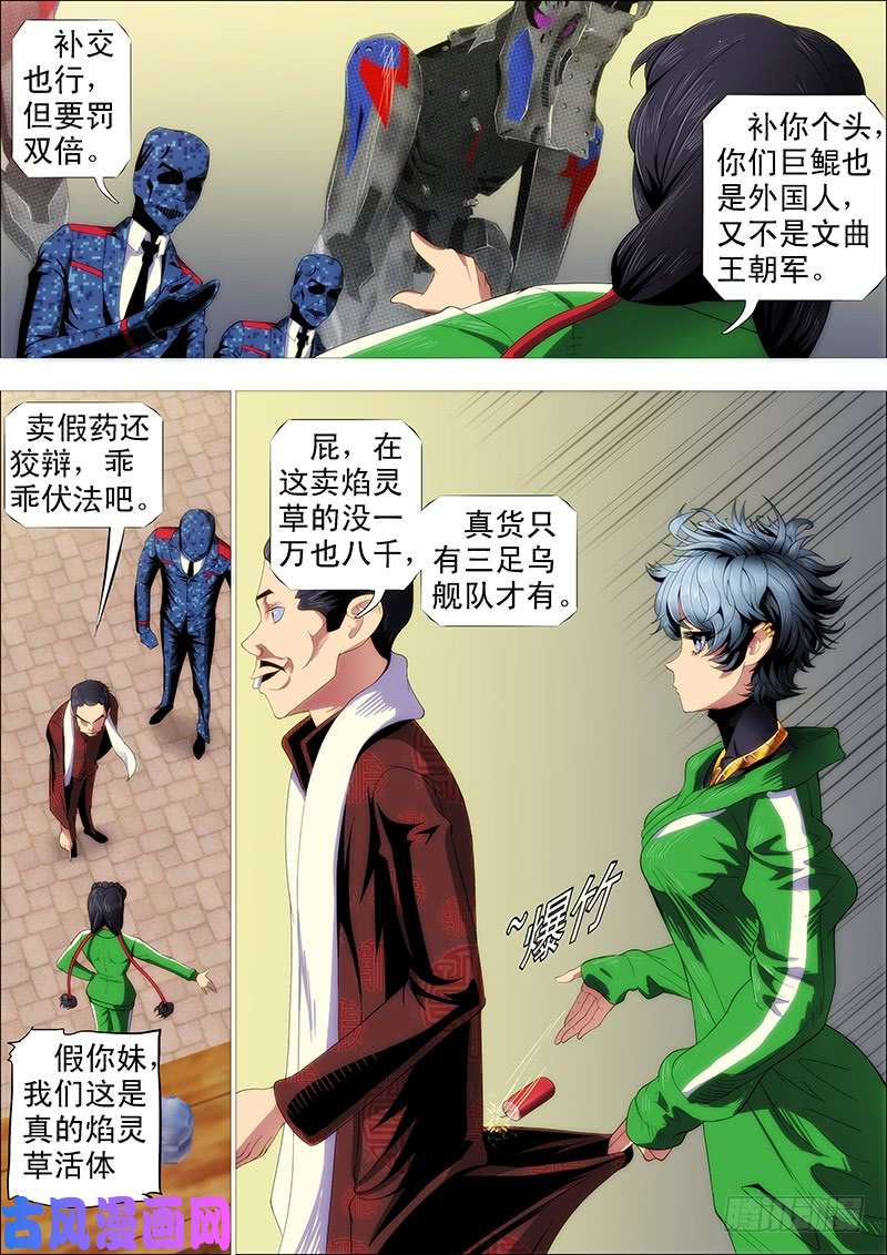 铁姬钢兵掉毛金乌不如鸡