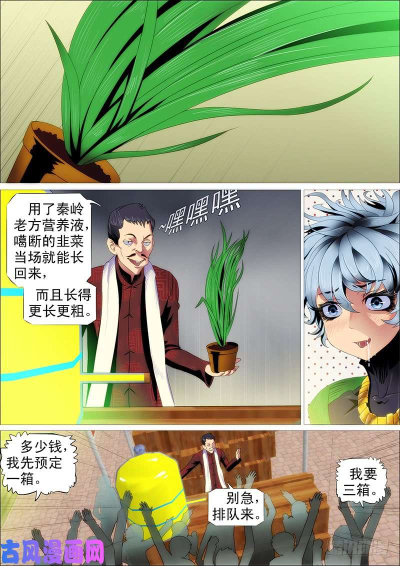铁姬钢兵掉毛金乌不如鸡