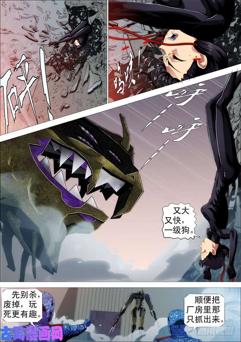 铁姬钢兵什么动物敢吃鲲？