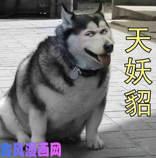 铁姬钢兵慕总管、慕同学