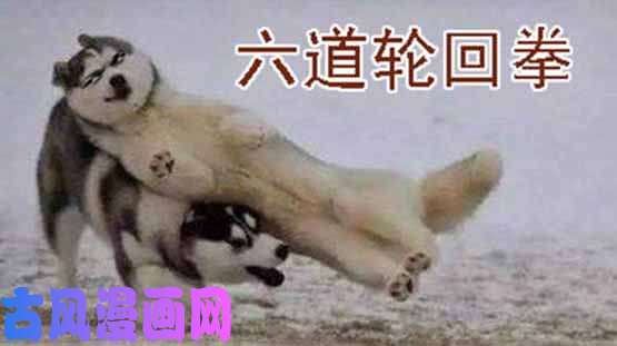 铁姬钢兵巨鲲要吃恶龙