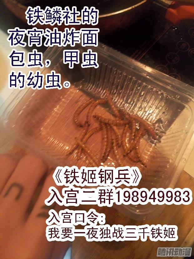 铁姬钢兵21：刀羽剑鳞