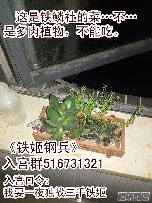 铁姬钢兵26：雷劫镇远