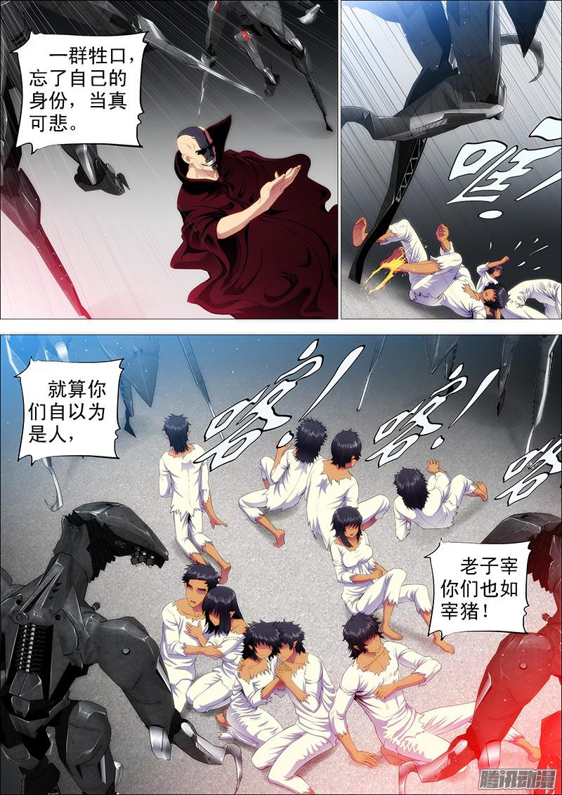 铁姬钢兵修罗族是人吗？