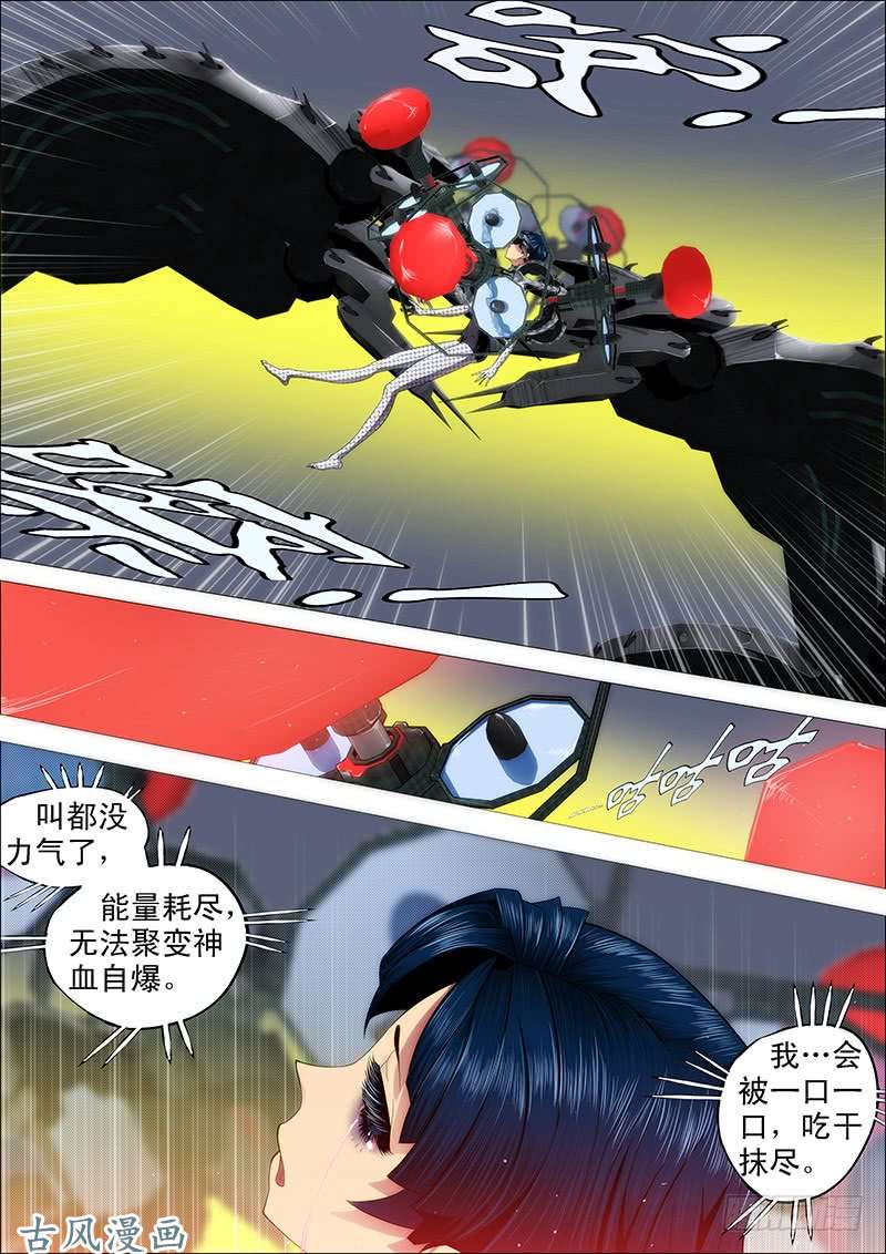 铁姬钢兵我要屠龙