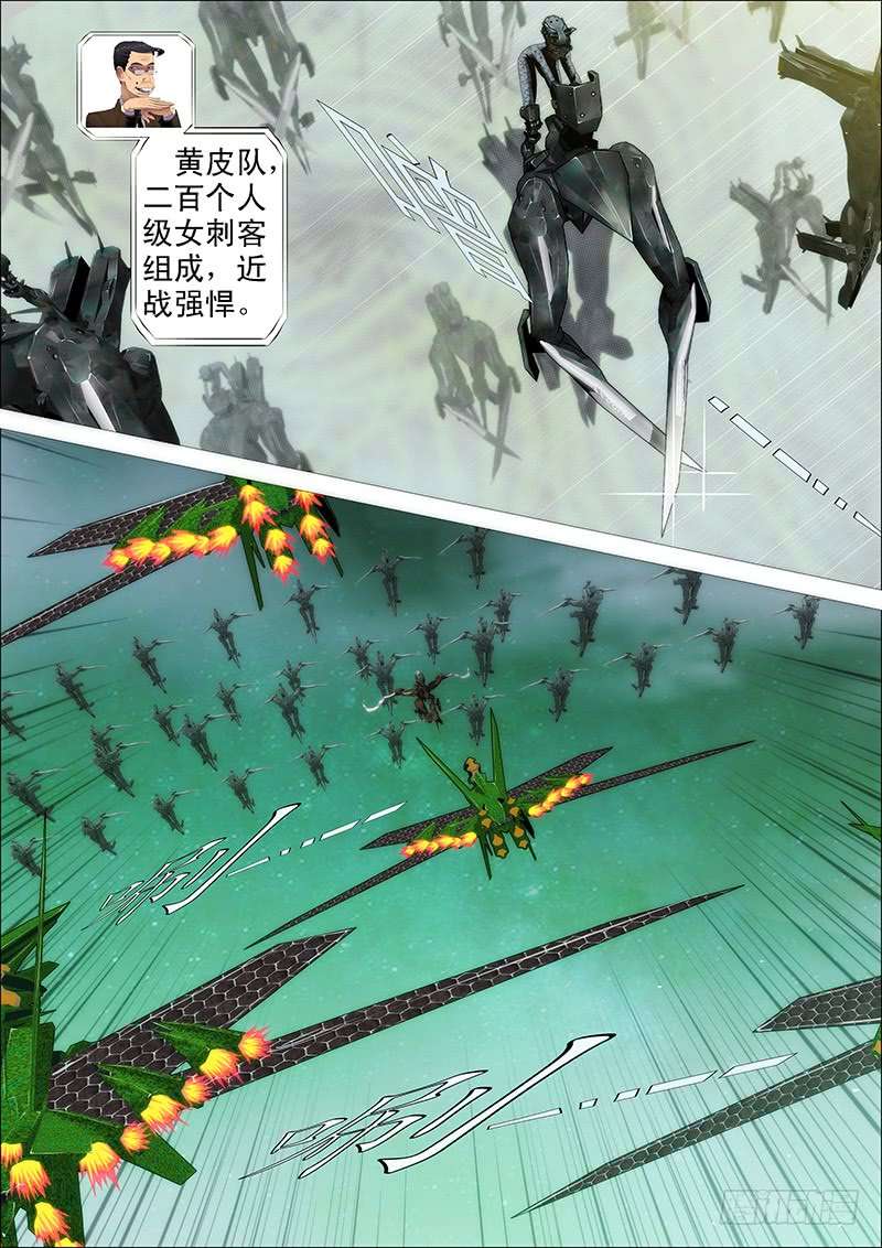 铁姬钢兵健足欲追千里马