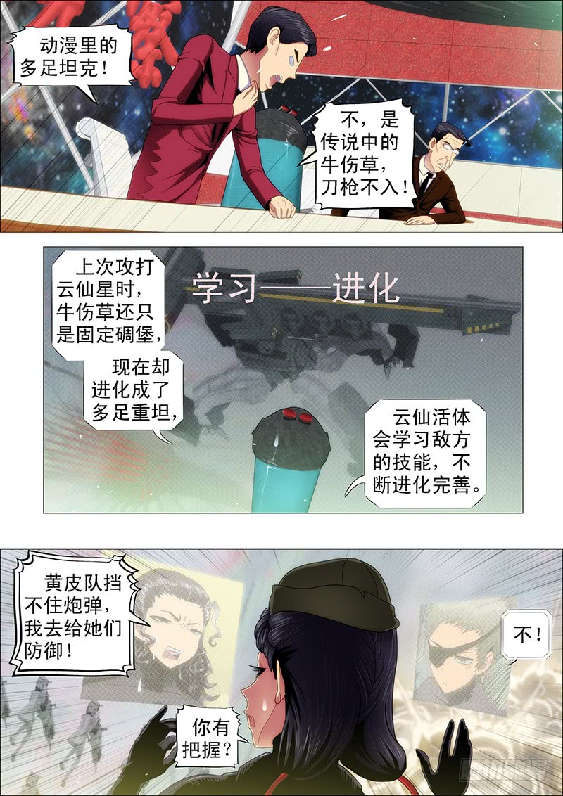 铁姬钢兵刺客硬拼重坦