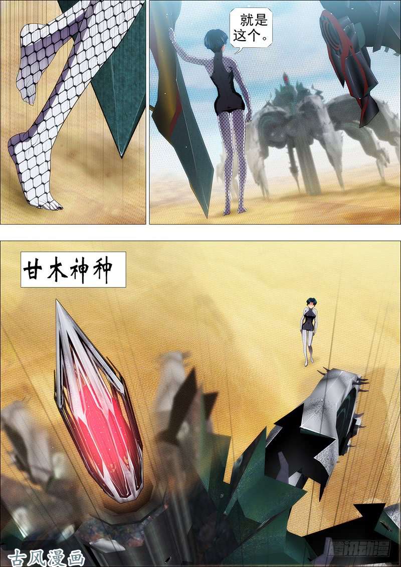 铁姬钢兵大获全胜？