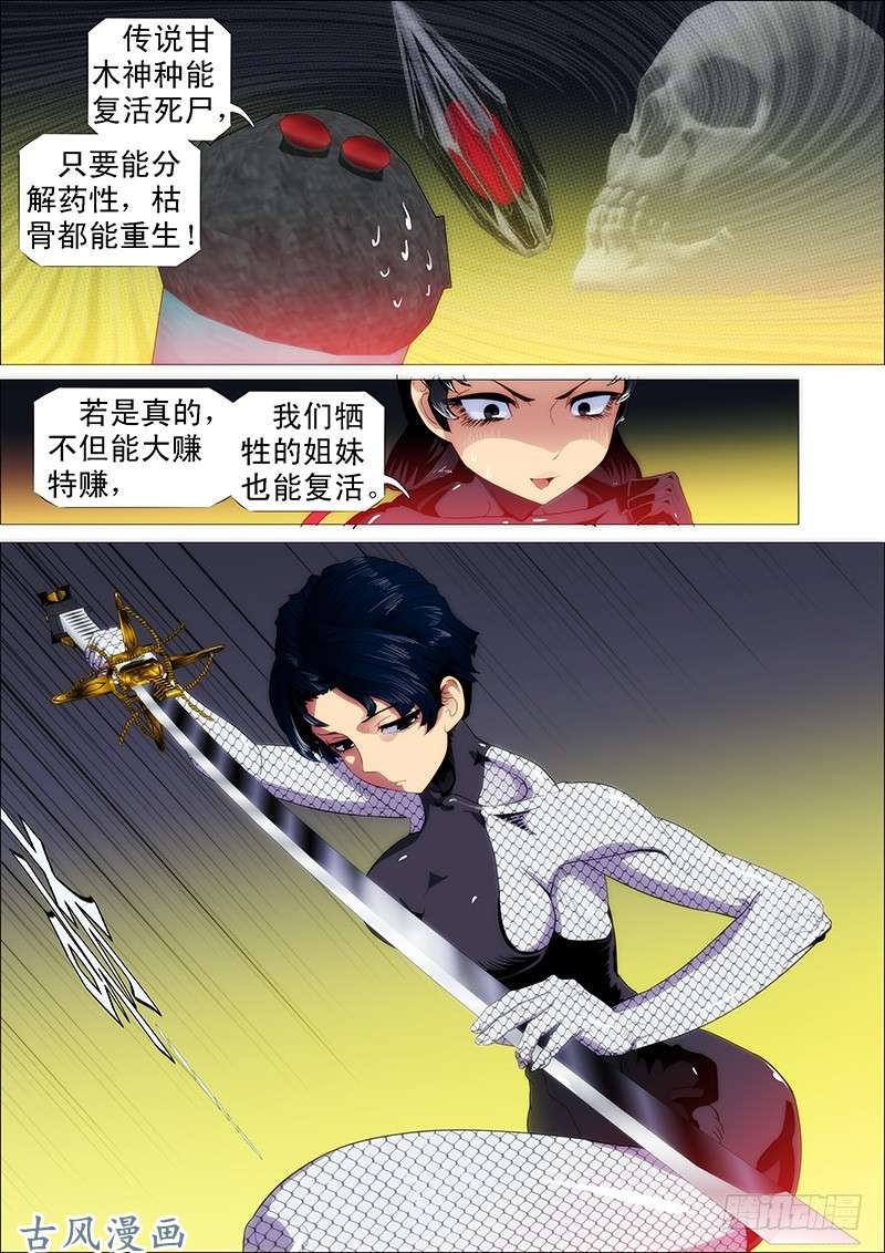 铁姬钢兵大获全胜？