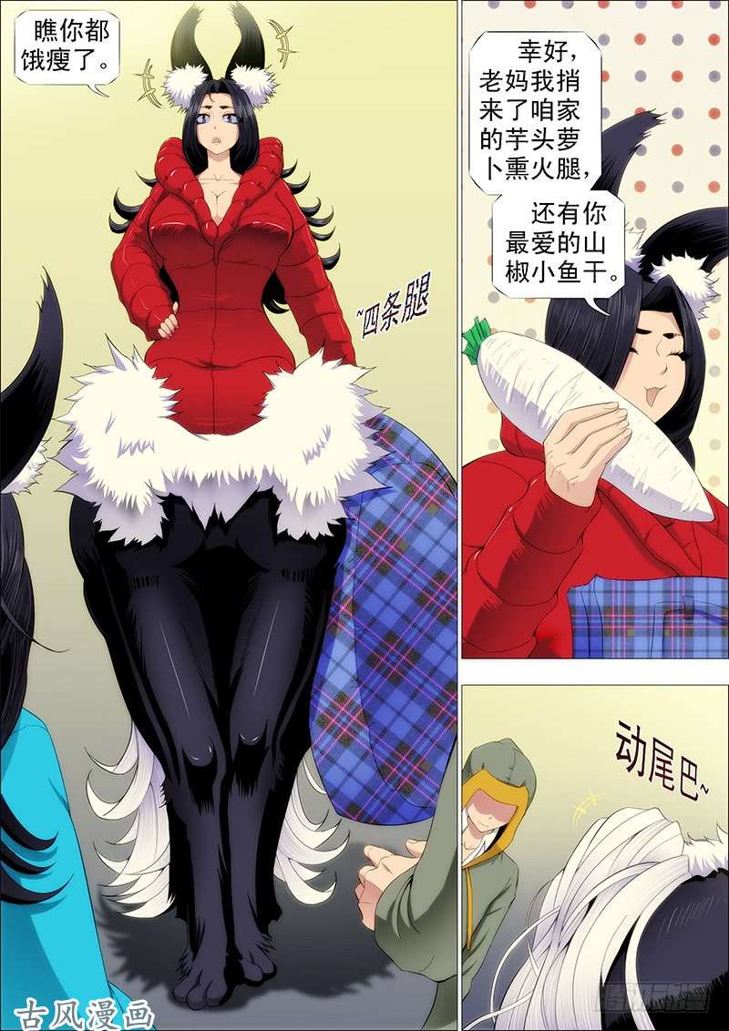 铁姬钢兵北洋村姑