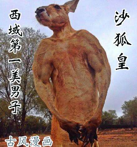 铁姬钢兵下一站，文曲王朝