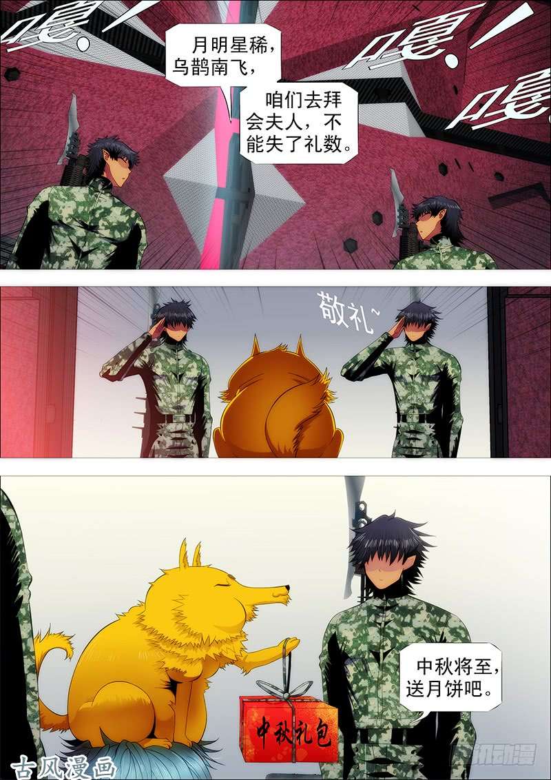 铁姬钢兵血翼渡星河